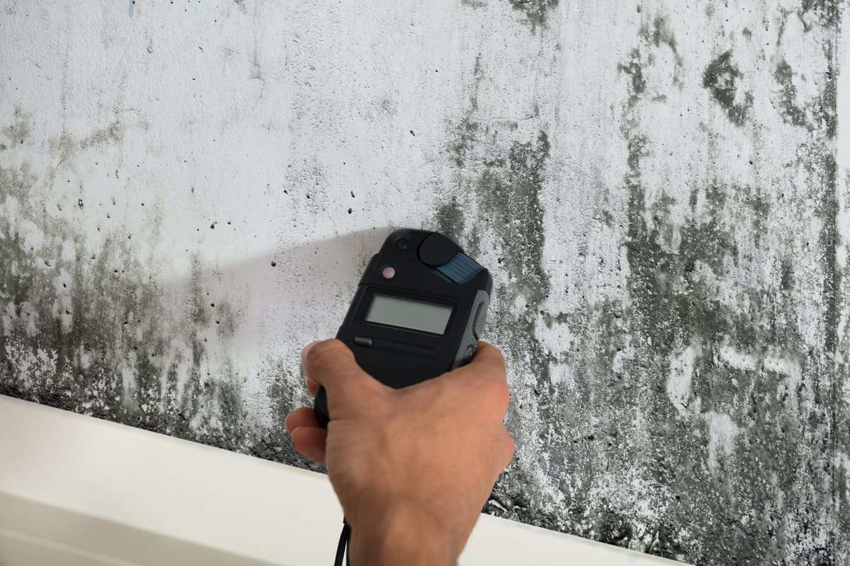 Mold Testing